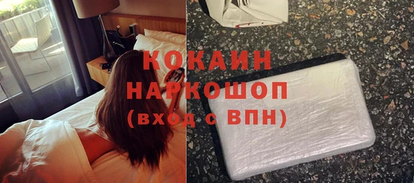 гидра Абаза
