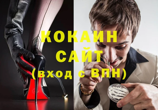 гидра Абаза