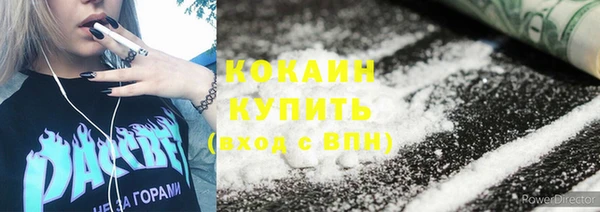 не бодяженный Алексин
